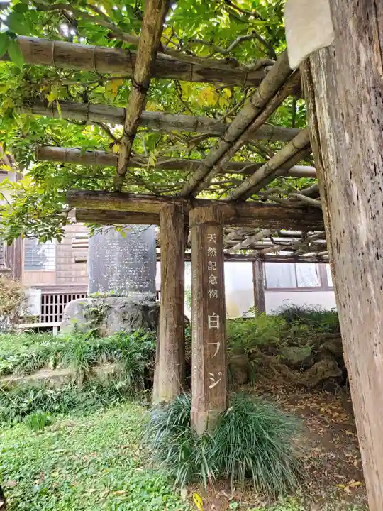 乾徳寺のその他建物