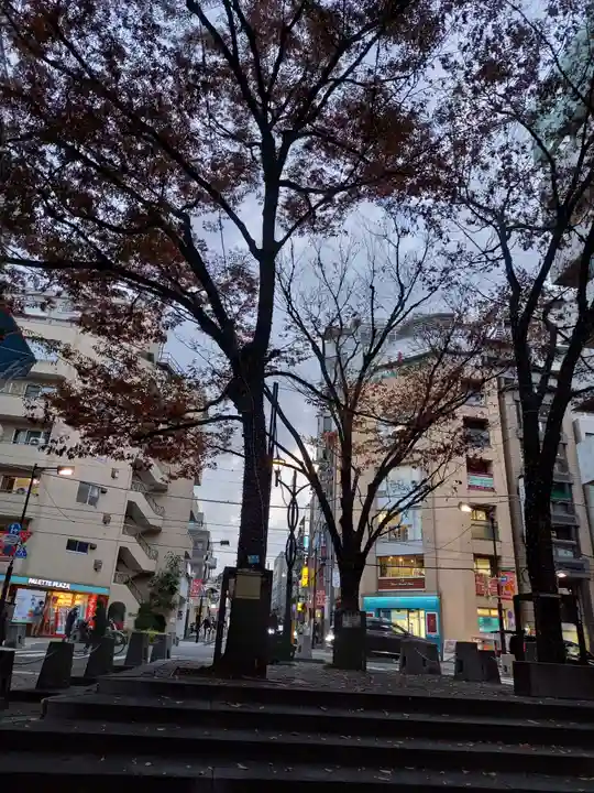 十番稲荷神社の自然