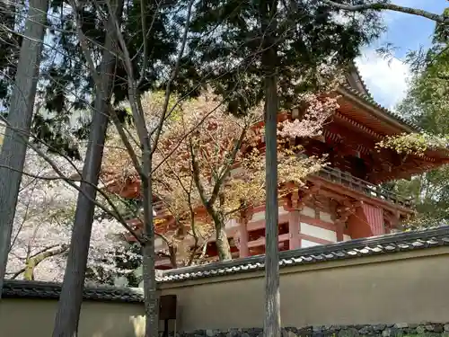 宝聚院(京都府)