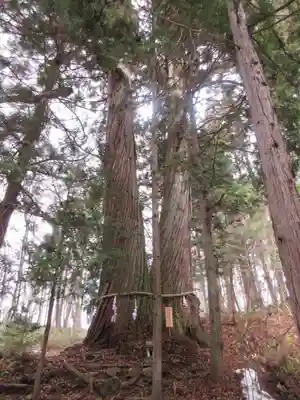 戸隠神社火之御子社のその他建物