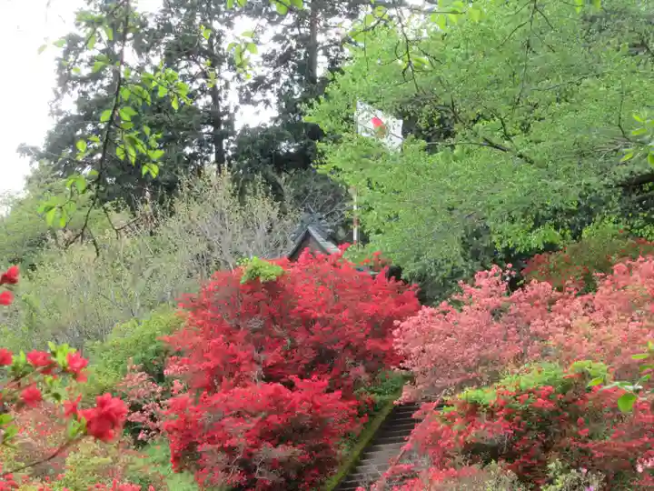 愛宕神社(東京都)