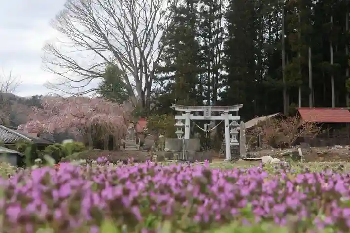 熊野神社の鳥居