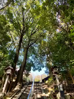 茅ヶ崎杉山神社(神奈川県)