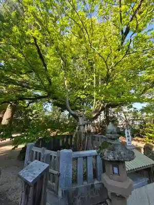 賣布神社(島根県)