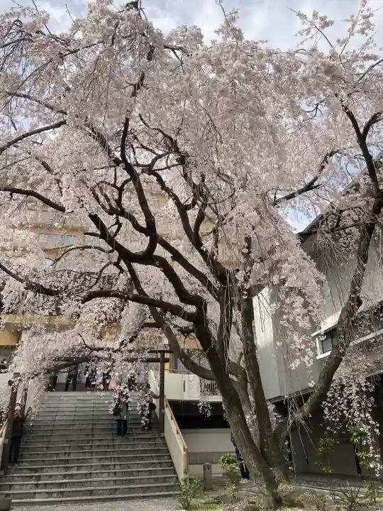 普門寺(広島県)