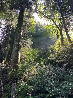 瀧神社(岐阜県)