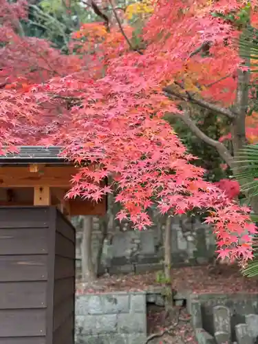 伊勢の国 四天王寺の自然