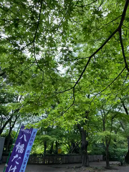 石清水八幡宮(京都府)