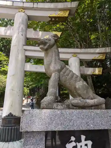 三峯神社の狛犬