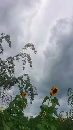 矢合観音の景色