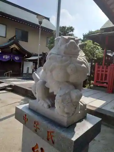 葛飾氷川神社の狛犬