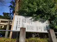下鶴馬氷川神社(埼玉県)
