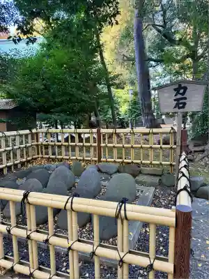 世田谷八幡宮(東京都)