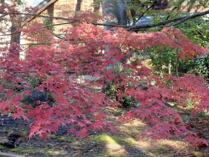 榊神社(新潟県)