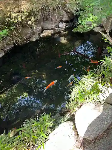 秩父神社の庭園