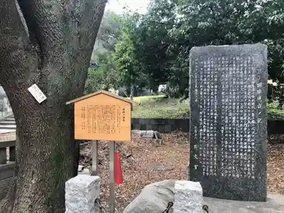 湯島聖堂(東京都)