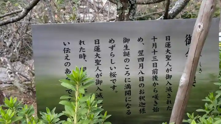 妙蓮寺(京都府)