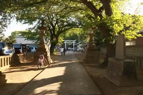 前玉神社の建物その他