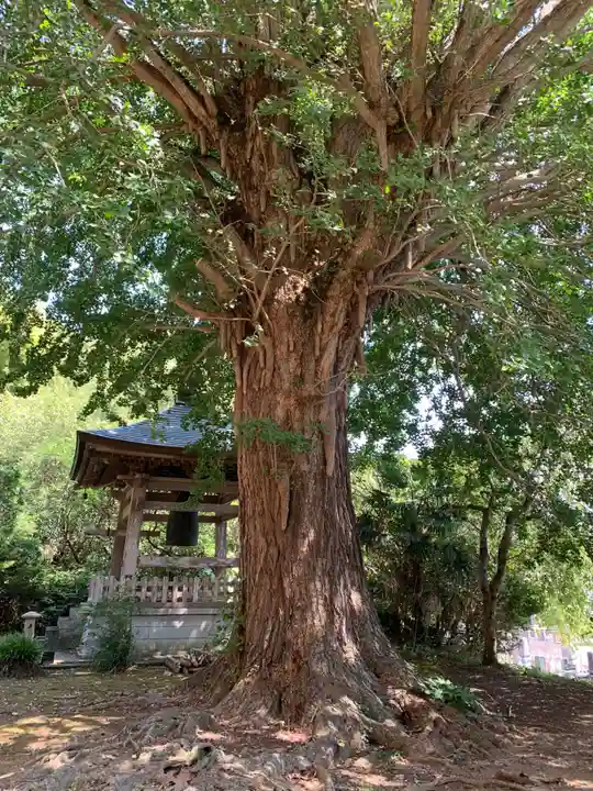西音寺(千葉県)