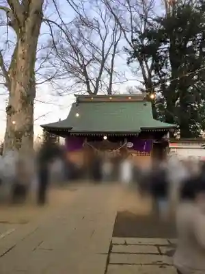 守谷総鎮守 八坂神社の本殿・本堂