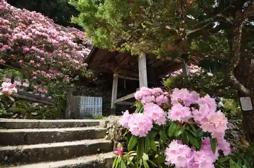 横峰寺(愛媛県)