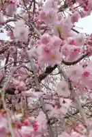 豊國神社(大阪府)