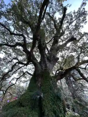 蒲生八幡神社の{uncategorized: "未分類", other: "その他", undefined: "問題あり", building: "その他建物", grave: "お墓", sacred_gate: "鳥居", guardian: "狛犬", statue: "像", buddha: "仏像", history: "歴史", nature: "自然", garden: "庭園", animal: "動物", pagoda: "塔", temizu: "手水舎", mountain_gate: "山門・神門", sanctuary: "本殿・本堂", subordinate: "末社・摂社", art: "芸術", scenery: "景色", jizo: "地蔵", ema: "絵馬", goshuin: "御朱印", omikuji: "おみくじ", items: "授与品その他", amulet: "お守り", goshuincho: "御朱印帳", eats: "食事", festival: "お祭り", votive_dance: "神楽", shichigosan: "七五三参", wedding: "結婚式", experience: "体験その他", initially: "初詣", around: "周辺", anti_infection: "感染症対策"}