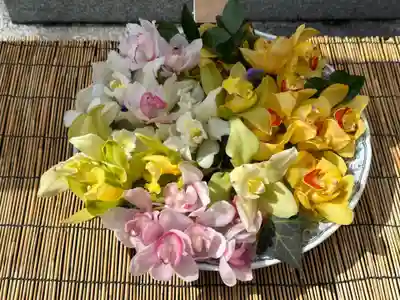 徳島眉山天神社(徳島県)