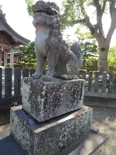 八代宮の狛犬