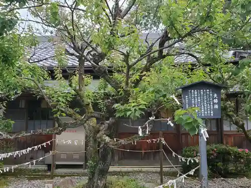 滋賀県護国神社の自然