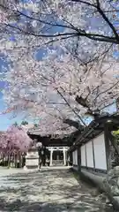 吒枳尼天（法伝寺）の鳥居