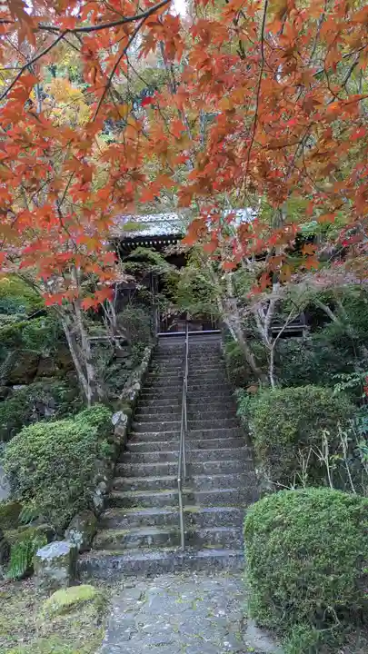 勝持寺(花の寺)(京都府)