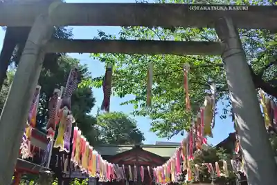 くまくま神社(導きの社 熊野町熊野神社)(東京都)