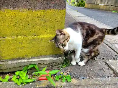 橿原神宮(茨城県)