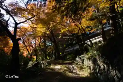 中津川行者堂(極楽寺)(和歌山県)