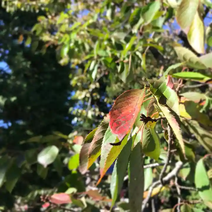 高司神社〜むすびの神の鎮まる社〜(福島県)