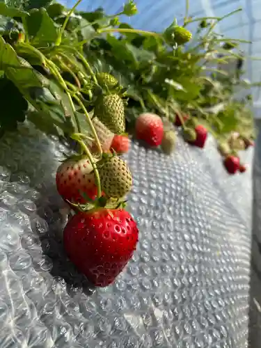 日光東照宮の自然