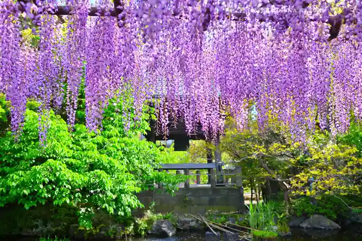 西新井大師総持寺(東京都)