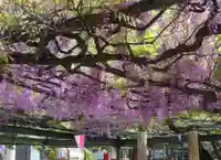 國領神社の自然