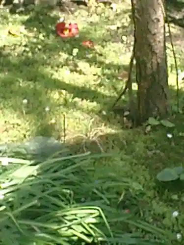 安國論寺（安国論寺）の自然