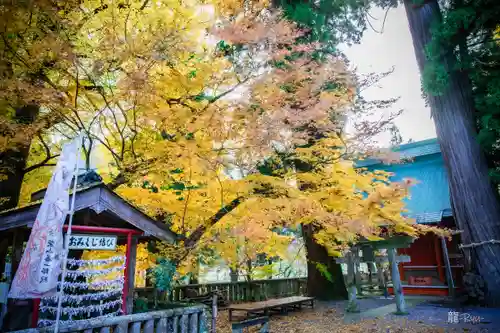雲八幡宮(大分県)