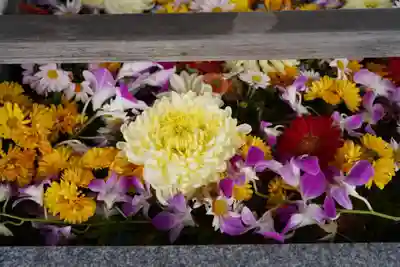 豊景神社の手水舎