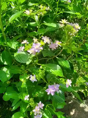 石都々古和気神社(福島県)