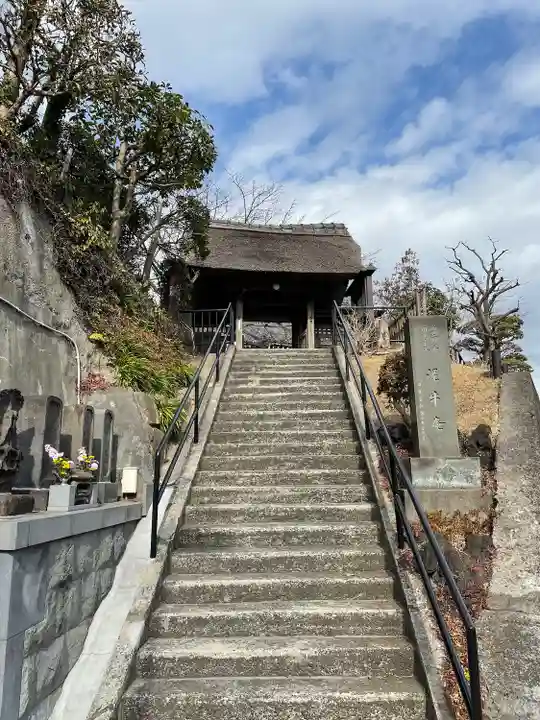 泥牛庵の山門・神門