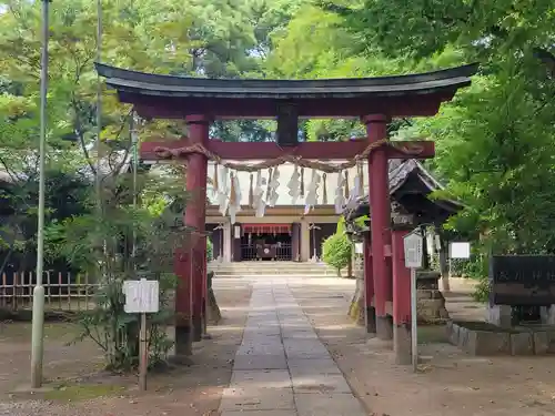 本太氷川神社の鳥居