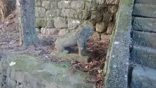 青龍神社の狛犬