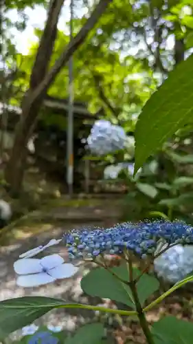 十輪寺(京都府)