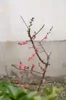 御霊神社(奈良県)