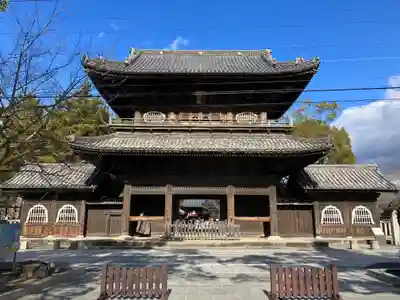 大樹寺（松安院大樹寺）(愛知県)