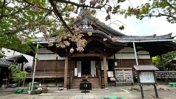 村雲御所瑞龍寺門跡の本殿・本堂
